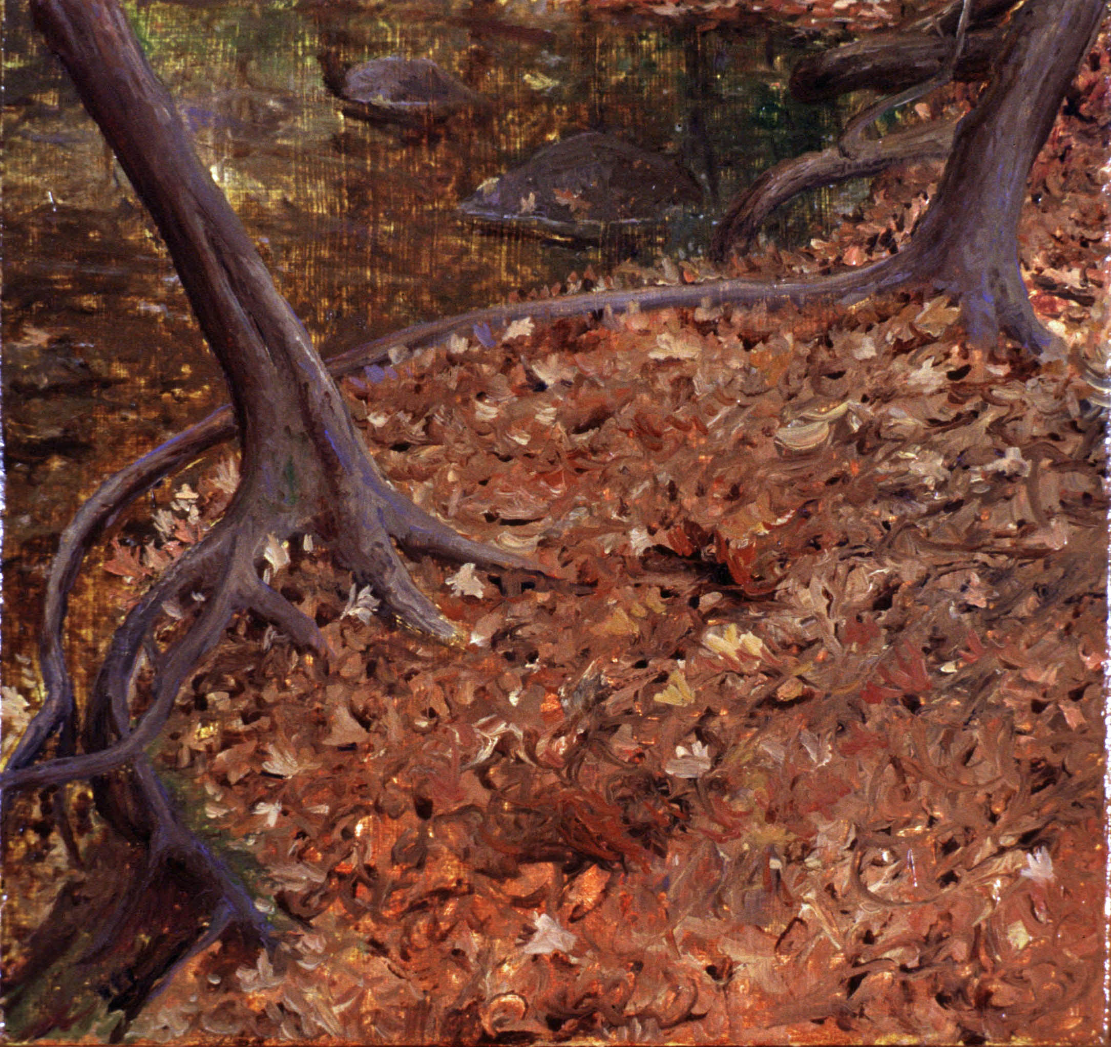 Saplings along Lubber Run in Autumn Leaves